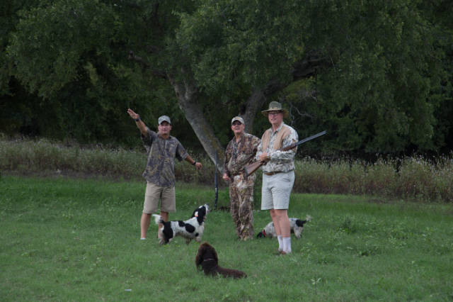 dove hunting elderado